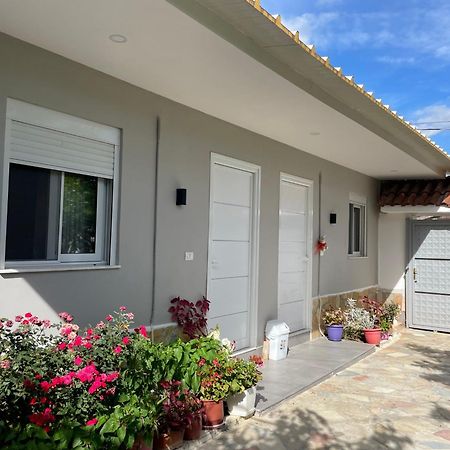 Guest House Luli Strumi Berat Exterior photo